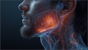 how does minoxidil stimulate facial hair