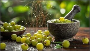 amla (indian gooseberry) remedy amla (indian gooseberry) remedy