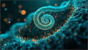 biotin, folate, and cell division biotin, folate, and cell division