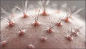 early signs of damaged hair follicles early signs of damaged hair follicles