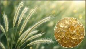 horsetail and millet seed extracts horsetail and millet seed extracts