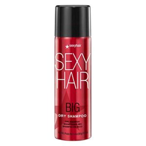 SexyHair Big Dry Shampoo | B0872ZVHDL