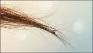 signs your hair needs attention signs your hair needs attention
