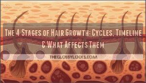 are the stages of hair growth are the stages of hair growth