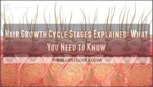 hair growth cycle stages explained hair growth cycle stages explained