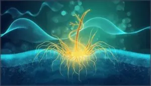 how does nutrafol work how does nutrafol work