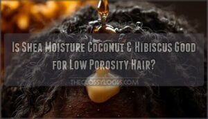 is shea moisture coconut and hibiscus good for low porosity hair is shea moisture coconut and hibiscus good for low porosity hair