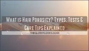 what is hair porosity