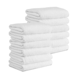 Classic Turkish Towels CTT B00VKNNY86