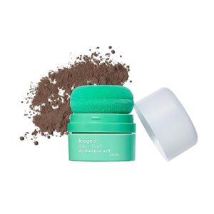Briogeo Style + Treat Dry B0DQVQJ672