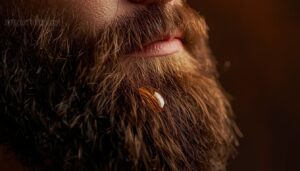 brush damp beard from root to tip brush damp beard from root to tip