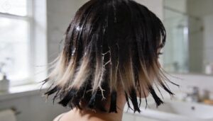 key visual differences key visual differences