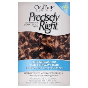 Ogilvie Salon Styles Precisely Right B000KNAECQ