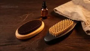 oval vs paddle brush shapes oval vs paddle brush shapes