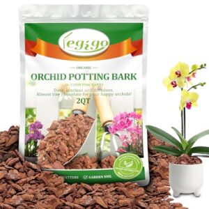 Legigo 2 Quarts Organic Orchid B09QYDJZFJ
