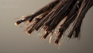split ends and frayed-looking strands split ends and frayed-looking strands