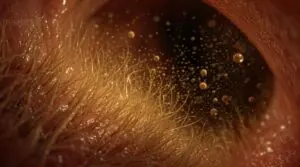 why nose hair trimming matters why nose hair trimming matters
