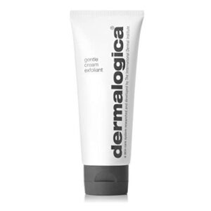 Dermalogica Gentle Cream Exfoliant (2.5 B000PKUZ5U