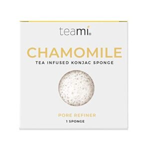 Teami Exfoliating Konjac Facial Sponge B07T2VRPTR