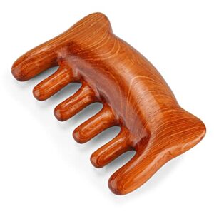 Wooden Scalp Massager Comb B0C46VYND3