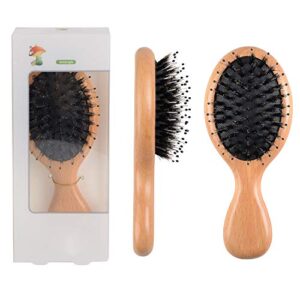 FESHFEN Mini Hair Brush B079DJQK91