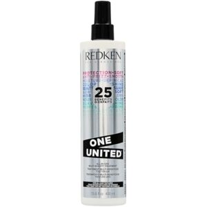 Redken One United Leave In Conditioner B013IL9XC8